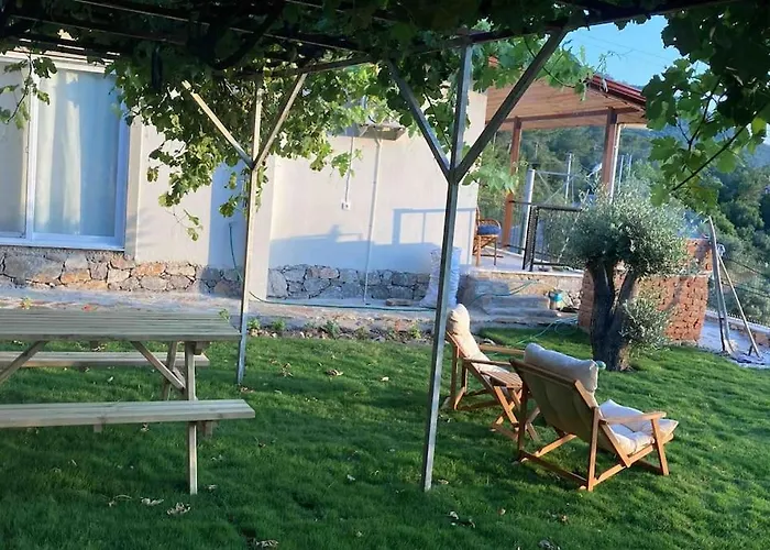 Magnificent Sunset View 费特希耶