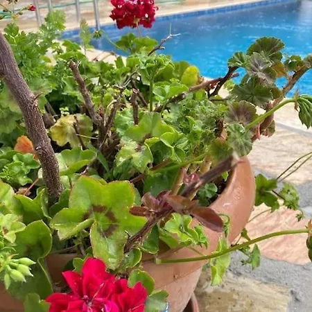 Вилла Magnificent Sunset View