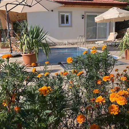 Magnificent Sunset View 别墅 *