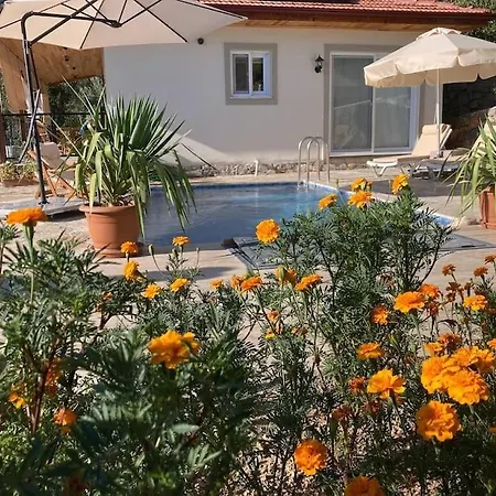 Magnificent Sunset View Вилла Фетхие