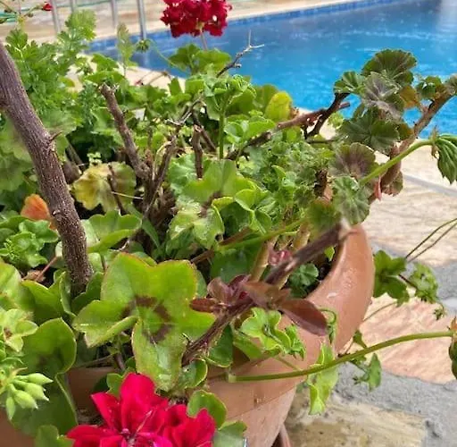 Вилла Magnificent Sunset View