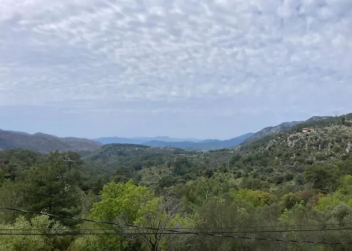 Magnificent Sunset View